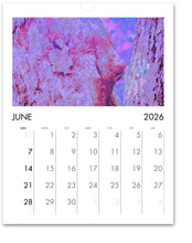 Load image into Gallery viewer, 2026 Fairy Wonderland Calendar • Alterations Most True Photos Jun