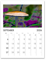Load image into Gallery viewer, 2026 Fairy Wonderland Calendar • Alterations Most True Photos Sep