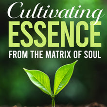 Load image into Gallery viewer, Cultivating Essence from the Matrix of Soul