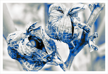 Load image into Gallery viewer, Nurturing Creativity - Winter Walk nature photograph Dawn Richerson 12x18