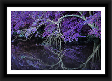 Load image into Gallery viewer, WHERE WE MEET AGAIN ☼ Alterations Most True {Photo Print} 18x12