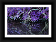 Load image into Gallery viewer, WHERE WE MEET AGAIN ☼ Alterations Most True {Photo Print} 12x8 Framed