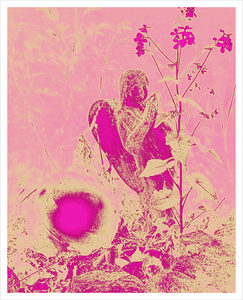 Pink Dawn Fairy - Fairy Wonderland Ireland Design Print - Alterations Most True Photo by Dawn Richerson 16x20