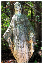 Load image into Gallery viewer, Our Lady of the Silent Forest - faith photo - mother mary -16x24