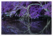 Load image into Gallery viewer, WHERE WE MEET AGAIN ☼ Alterations Most True {Photo Print} 18x12