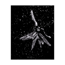 Load image into Gallery viewer, Angel of the Starry Night • Soul of Nature {Photo Print} Photo Print New Dawn Studios 4x5
