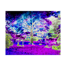 Load image into Gallery viewer, BEGIN AGAIN AGAIN ☼ Alterations Most True {Photo Print}