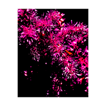 Load image into Gallery viewer, Celebration Alterations Most True 4x5