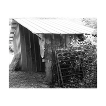 Load image into Gallery viewer, LIFE AT THE BARN ☼ Color of Conviction│Blue Ridge {Photo Print}