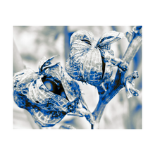 Load image into Gallery viewer, Nurturing Creativity - Winter Walk nature photograph Dawn Richerson 4x5