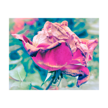 Load image into Gallery viewer, SHE RIDES ON THE ROSE-PETALLED DRAGON ☼ Winter Walk #3 Nature of Rest {Photo Print}