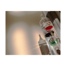 Load image into Gallery viewer, The Long Silent Year - Life & Art in the Time of Coronavirus - Galileo Thermometer Photo Time slows down - Dawn Richerson Photography 4x5