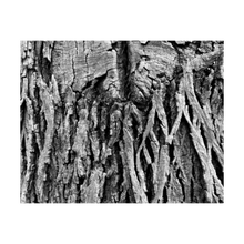 Load image into Gallery viewer, WEIGHT OF RESPONSIBILITY ☼ Color of Conviction│Blue Ridge {Photo Print} 4x5