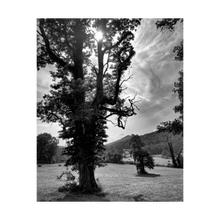Load image into Gallery viewer, TOO OLD TO THINK OF TIME ☼ Color of Conviction│Blue Ridge {Photo Print} 4x5