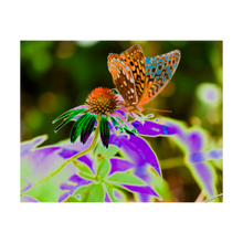 Load image into Gallery viewer, TRUE NATURE OF COOPERATION ☼ Alterations Most True {Photo Print}