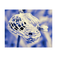 Load image into Gallery viewer, TURTLE ON THE MOVE ☼ Winter Walk #2 Nature of Rest {Photo Print} 4x5