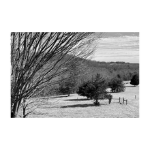 Load image into Gallery viewer, A FIERCE WIND BLEW ☼ Winter Walk #1 Nature of Rest {Photo Print} 4x6