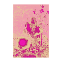 Load image into Gallery viewer, Pink Dawn Fairy - Fairy Wonderland Ireland Design Print - Alterations Most True Photo by Dawn Richerson 4x6
