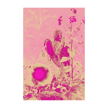 Load image into Gallery viewer, Pink Dawn Fairy - Fairy Wonderland Ireland Design Print - Alterations Most True Photo by Dawn Richerson 4x6