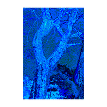 Load image into Gallery viewer, REUNION TREE ☼ Alterations Most True Art Print 4x6