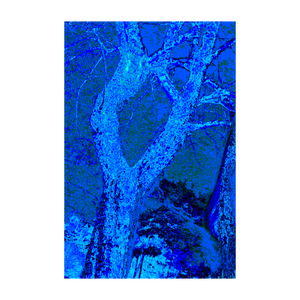 REUNION TREE ☼ Alterations Most True Art Print 4x6