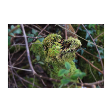 Load image into Gallery viewer, This Kiss Soul of Ireland Nature of Love Photograph Valentine's Day Walk Dawn Richerson 4x6