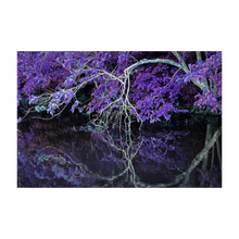 Load image into Gallery viewer, WHERE WE MEET AGAIN ☼ Alterations Most True {Photo Print} 4x6