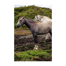 Load image into Gallery viewer, Working Together - Two Horses - Soul of Ireland Photo Dawn Richerson 4x6