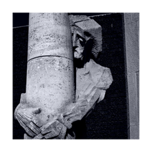 Load image into Gallery viewer, After the Roster's Crow Faithscapes Photo - sorrow, regret, love 5x5
