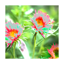 Load image into Gallery viewer, AN AUGUST SPRING ☼ Alterations Most True Art Print 5x5