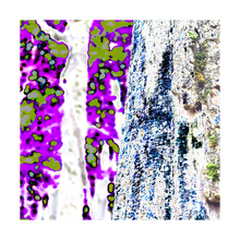 Load image into Gallery viewer, Birth of an Earthly Radiance Alterations Most True tree art print digital art Dawn Richerson 5x5