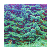 Load image into Gallery viewer, FOREVER HAPPY FREE ☼ Fairy Wonderland Alterations Most True {Photo Print} 5x5