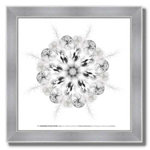 #8 Belonging to Each Other ☼ Diamond Dimensions SEA Series {Art Print} Design Print New Dawn Studios 8x8 Framed 