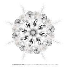 Load image into Gallery viewer, #8 Belonging to Each Other ☼ Diamond Dimensions SEA Series {Art Print} Design Print New Dawn Studios 8x8 Unframed