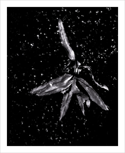 Load image into Gallery viewer, Angel of the Starry Night - Angel Leaf Photo Dawn Richerson Photography 8x10