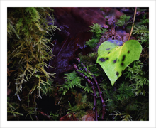 Load image into Gallery viewer, For the Love of This Life Soul of Ireland Photo 8x10