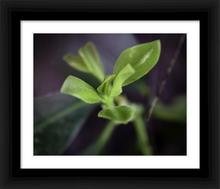 Load image into Gallery viewer, We're Still Here for You Nature Spirit Photo Gift - Dawn Richerson - Life & Art in the Time of Coronavirus - Dawn Richerson Photography 8x10 framed
