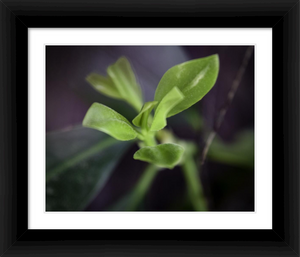 We're Still Here for You Nature Spirit Photo Gift - Dawn Richerson - Life & Art in the Time of Coronavirus - Dawn Richerson Photography 8x10 framed