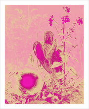 Load image into Gallery viewer, Pink Dawn Fairy - Fairy Wonderland Ireland Design Print - Alterations Most True Photo by Dawn Richerson 8x10