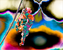 Load image into Gallery viewer, PRE-FLIGHT PREPARATION ☼ Alterations Most True Art Print 8x10