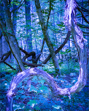 Load image into Gallery viewer, SHE RISES IN A DREAM ☼ Alterations Most True Art Print 8x10