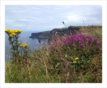 Load image into Gallery viewer, Day's Delight Cliffs of Moher ☼ Soul of Ireland {Photo Print} Photo Print New Dawn Studios County Clare Ireland photo 8x10
