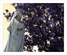 Load image into Gallery viewer, With Love for This Sacred World 8x10