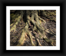 Load image into Gallery viewer, ROOTED AND READY ☼ Soul of Nature {Photo Print}