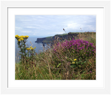 Load image into Gallery viewer, Day's Delight Cliffs of Moher ☼ Soul of Ireland {Photo Print} Photo Print New Dawn Studios County Clare Ireland photo 8x10 framed