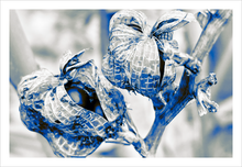 Load image into Gallery viewer, Nurturing Creativity - Winter Walk nature photograph Dawn Richerson 8x12