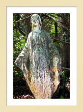Load image into Gallery viewer, Our Lady of the Silent Forest - faith photo - mother mary -8x12 framed