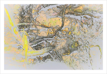 Load image into Gallery viewer, The World Beneath the World I See - Fairy Wonderland Photo - Soul of Ireland - 8x12