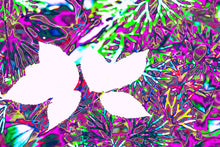 Load image into Gallery viewer, In Remembrance Nature Photography Alterations Most True Dawn Richerson