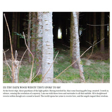 Load image into Gallery viewer, A Reconciliation of Light Book Books by Dawn